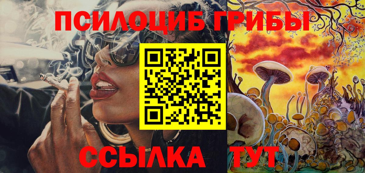 Псилоцибиновые грибы Psilocybine cubensis Тавда